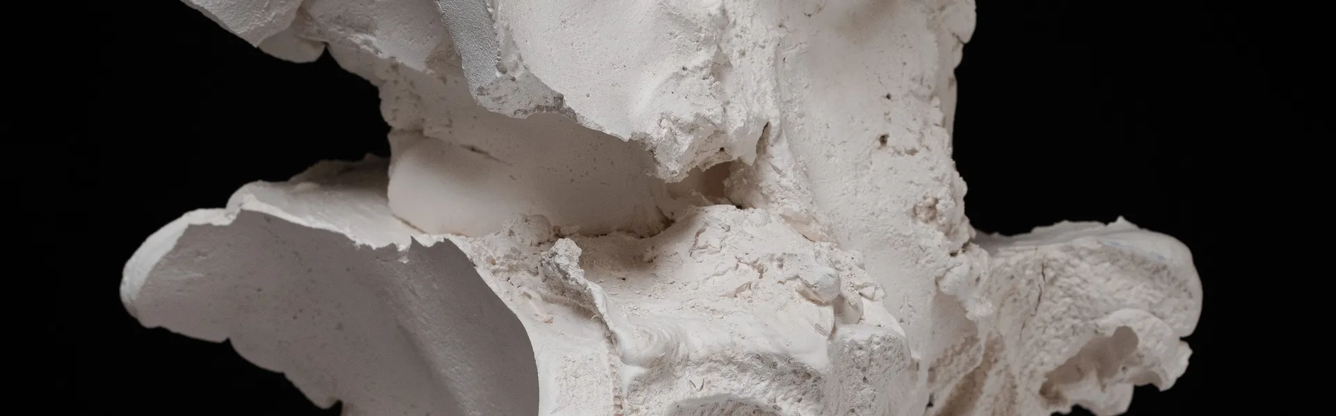 HOME Gallery, Manchester announces a solo exhibition of sculptural and painting works by internationally acclaimed visual artist Florence Peake.