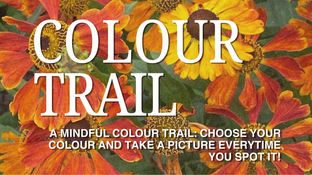 Rainbow Mind announce their Autumn programme